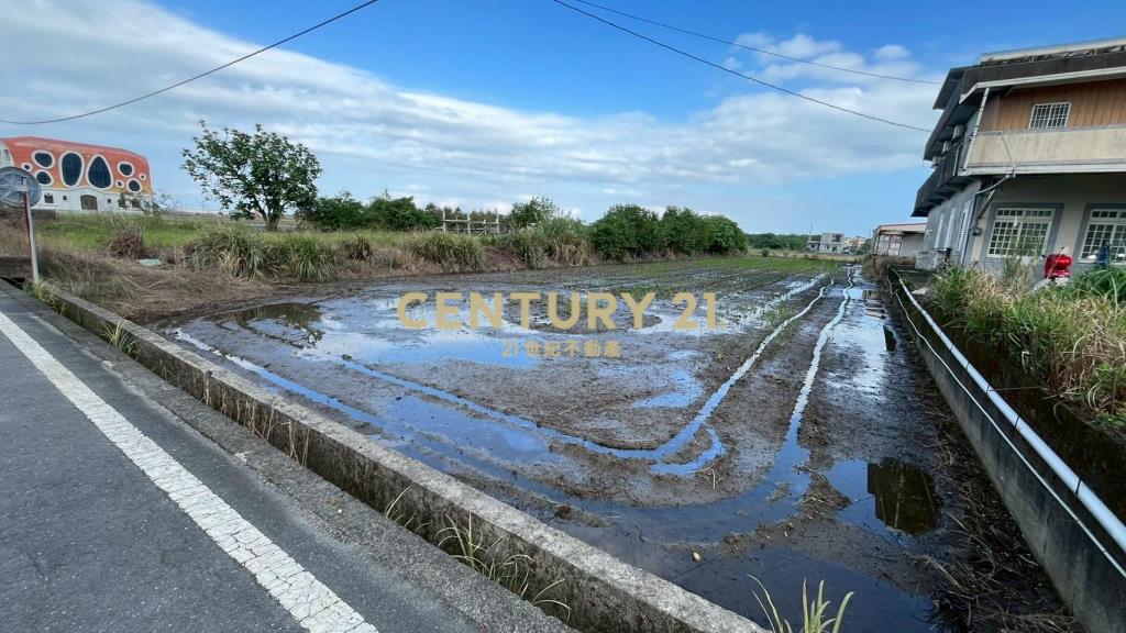 DC512蘇澳近濱海公路6米路旁方正美農