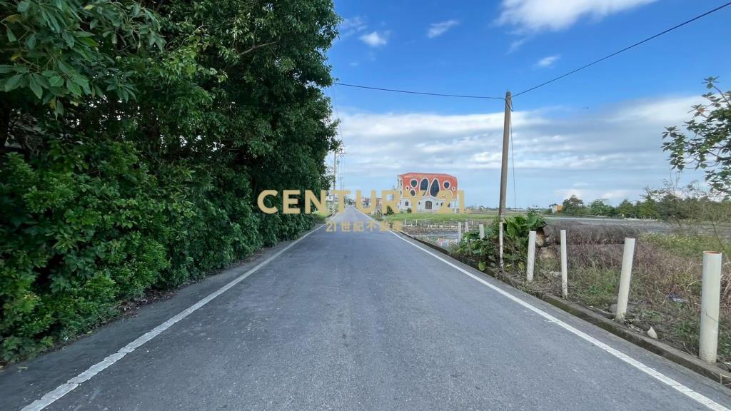 DC512蘇澳近濱海公路6米路旁方正美農