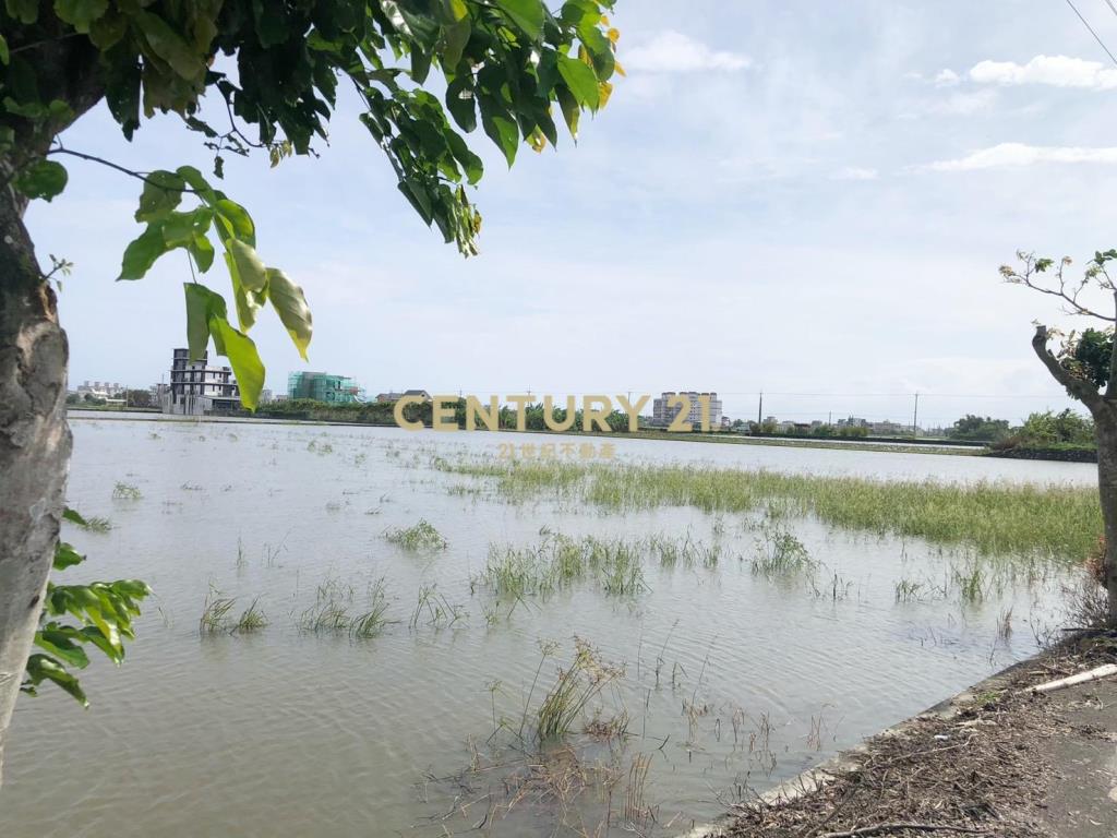 LC152礁溪時潮村候鳥棲息地休閒農地B