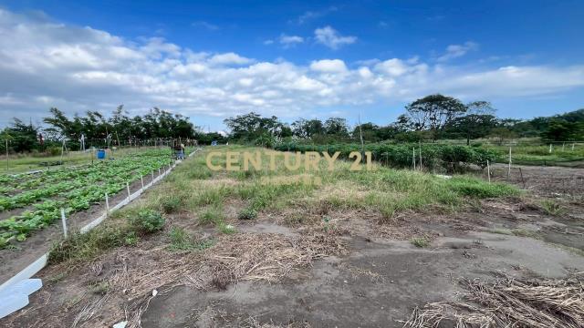 DC513蘇澳無尾港旁295坪小農地