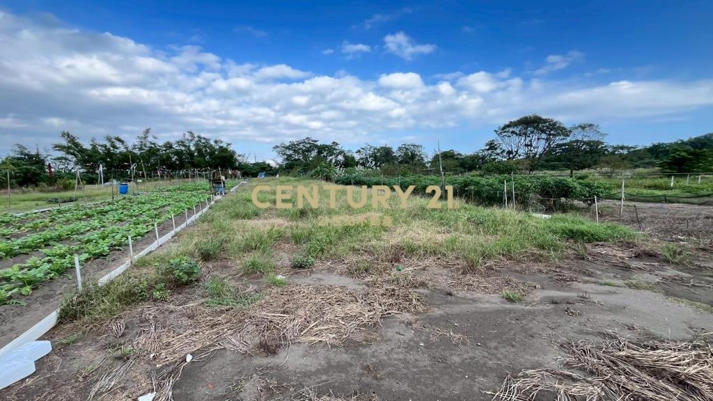 DC513蘇澳無尾港旁295坪小農地