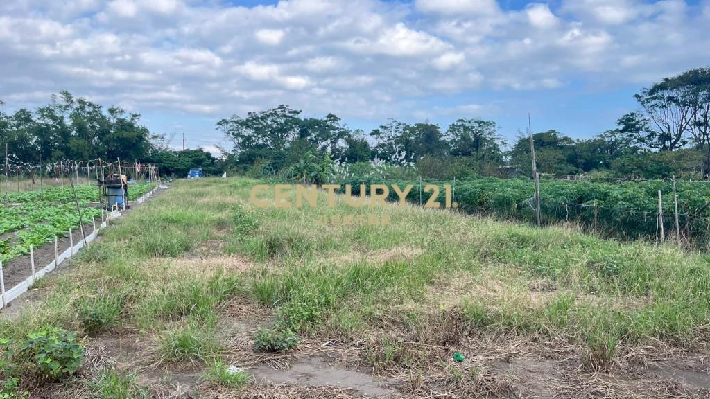 DC513蘇澳無尾港旁295坪小農地