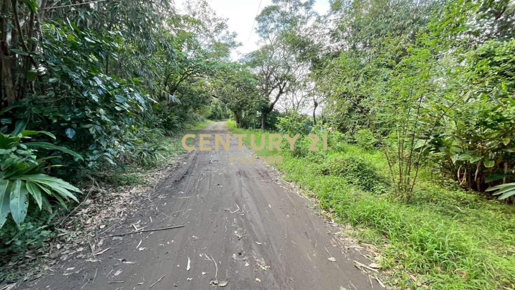 DC513蘇澳無尾港旁295坪小農地