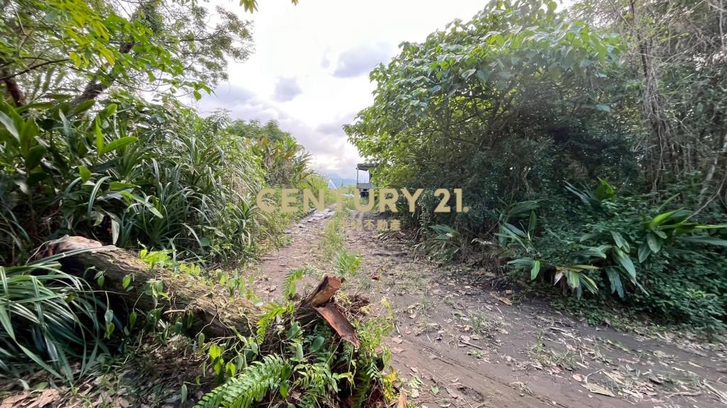 DC513蘇澳無尾港旁295坪小農地