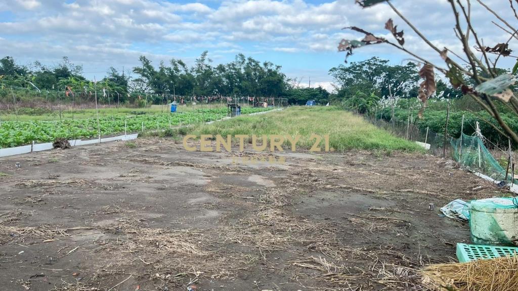 DC513蘇澳無尾港旁295坪小農地