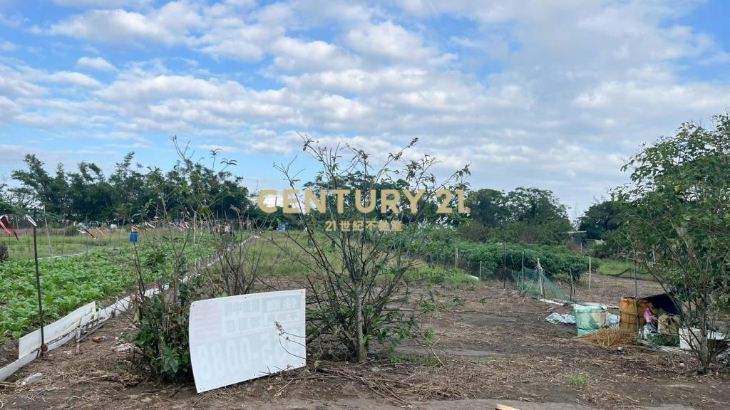 DC513蘇澳無尾港旁295坪小農地