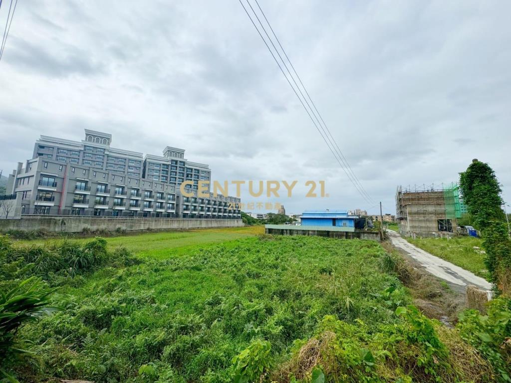 LD037馬賽近國五保安段建地