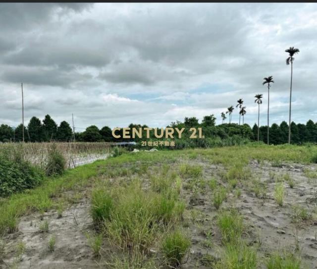 DC514員山金山公園附近小農地