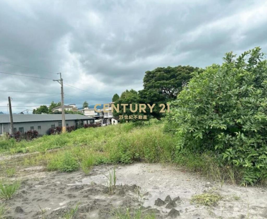 DC514員山金山公園附近小農地