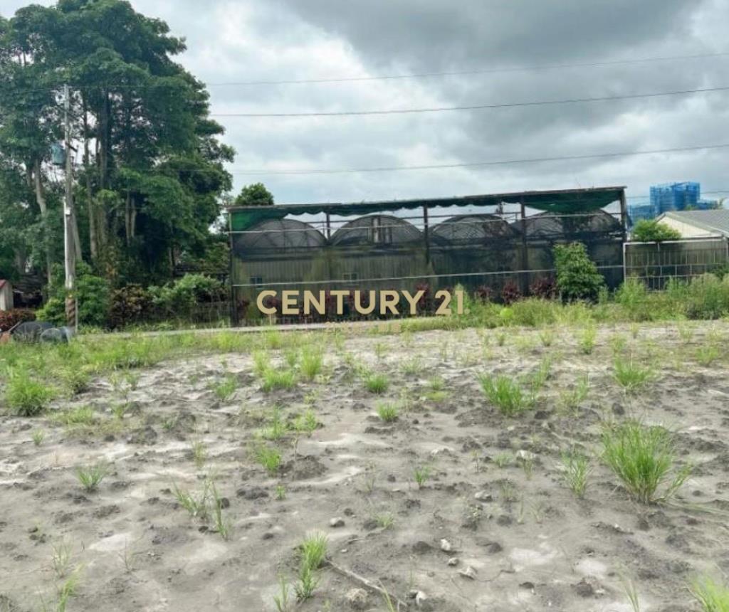 DC514員山金山公園附近小農地