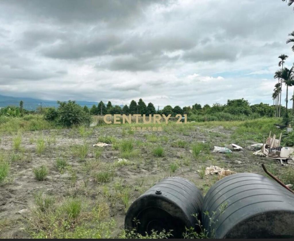 DC514員山金山公園附近小農地