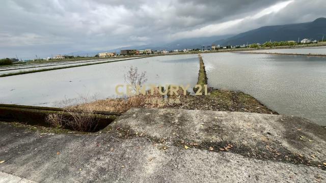 DC523礁溪朝陽農地A