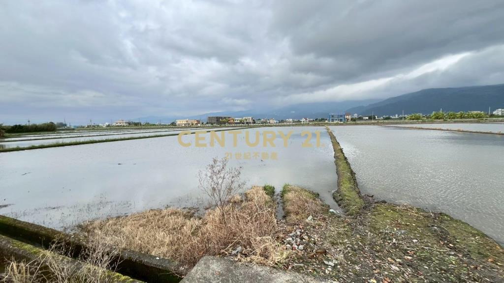 DC523礁溪朝陽農地A