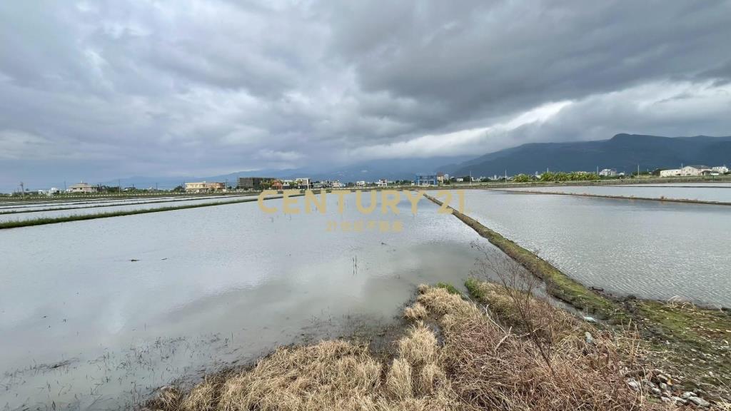 DC523礁溪朝陽農地A