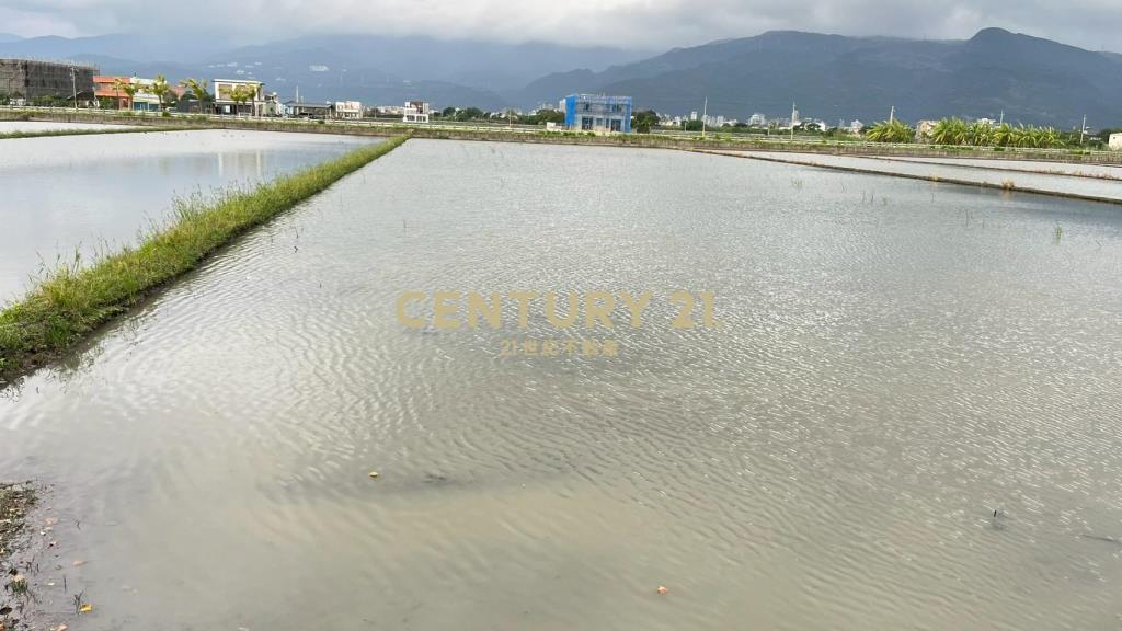 DC523礁溪朝陽農地A