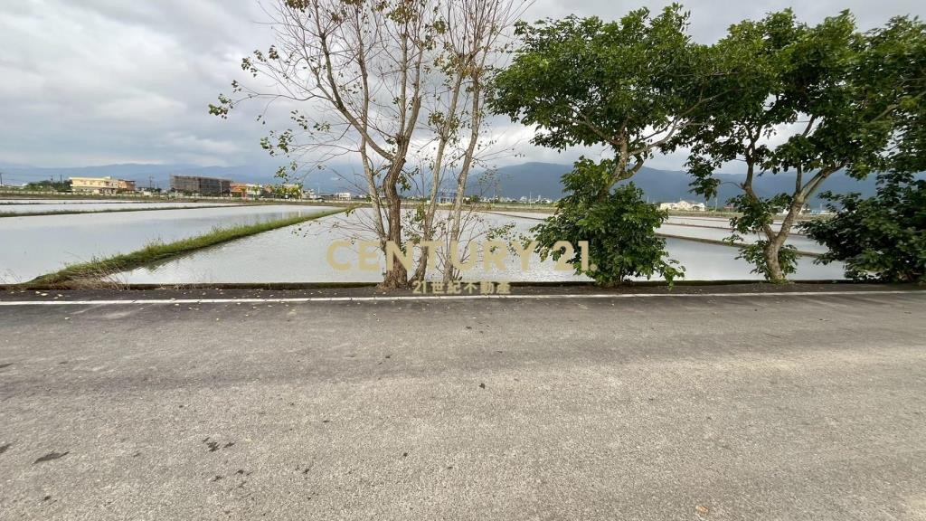 DC523礁溪朝陽農地A