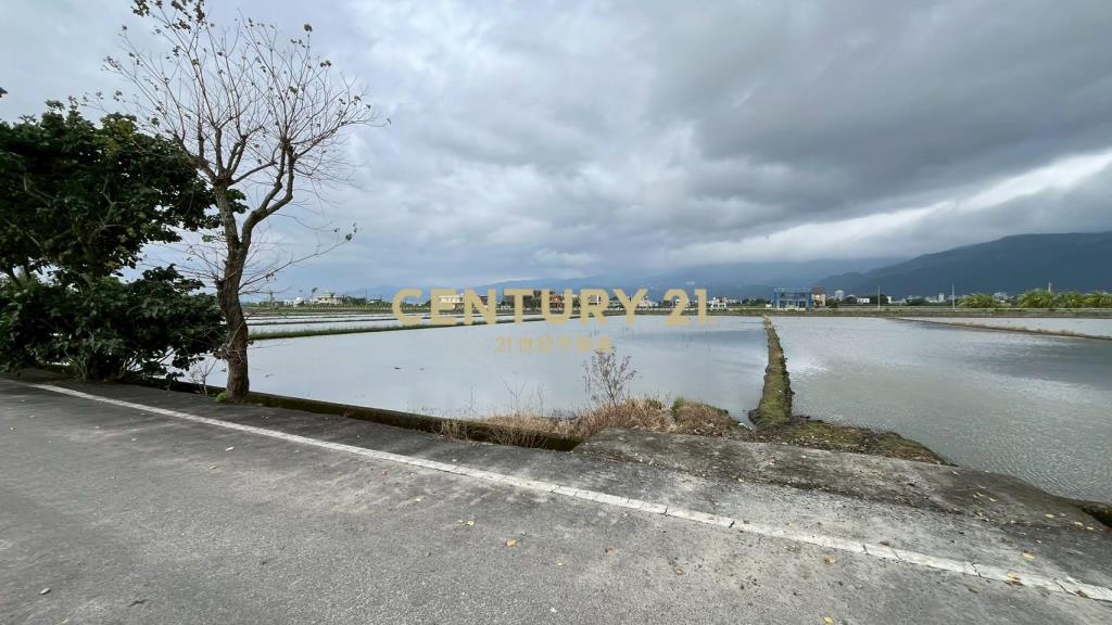 DC523礁溪朝陽農地A