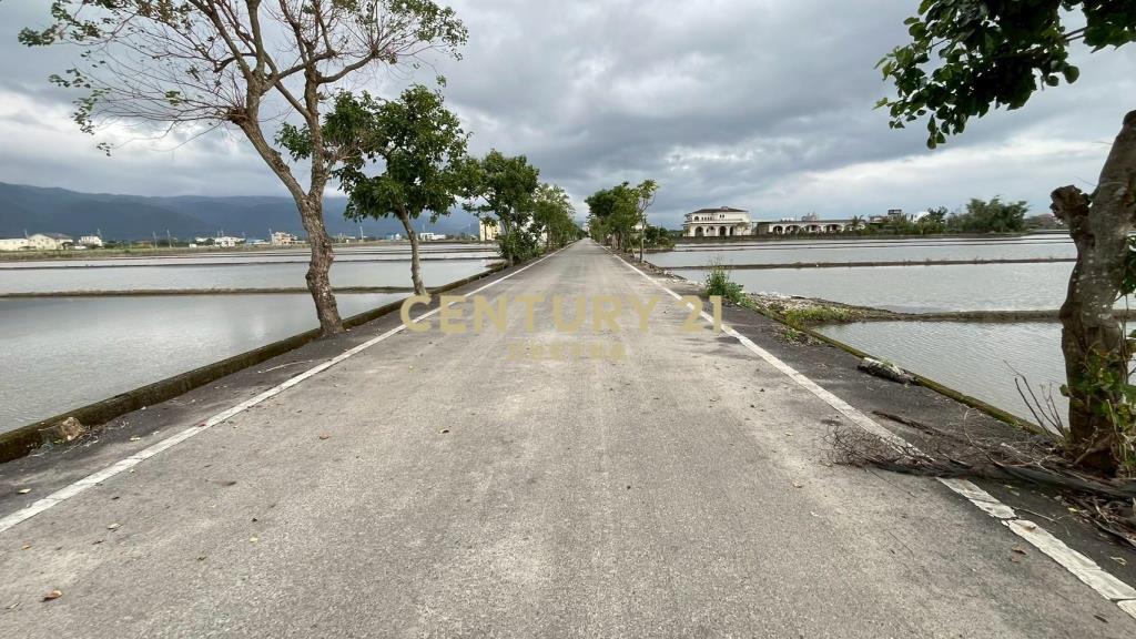 DC523礁溪朝陽農地A