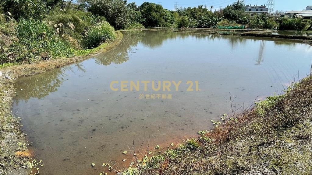 DC535順安大路邊小農地