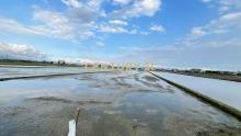 DC539礁溪玉光分毫不差足坪農地