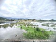 LC164員山八甲附近大面寬足坪農地