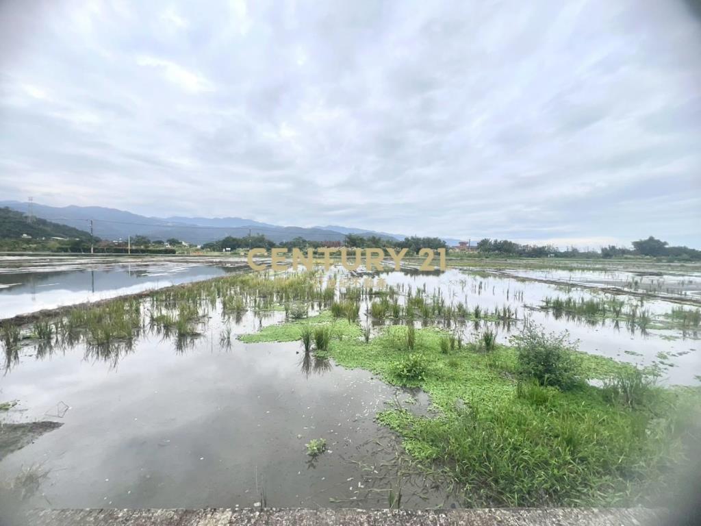 LC164員山八甲附近大面寬足坪農地