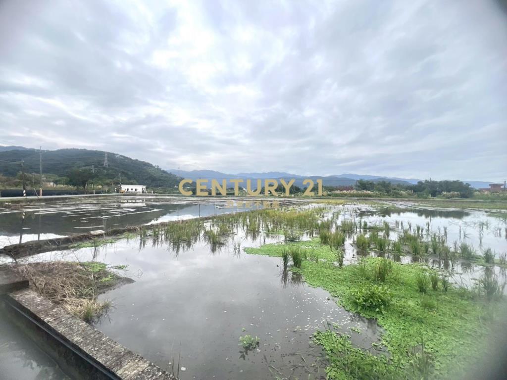 LC164員山八甲附近大面寬足坪農地