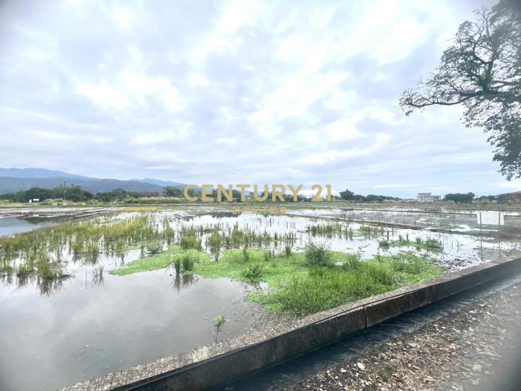 LC164員山八甲附近大面寬足坪農地