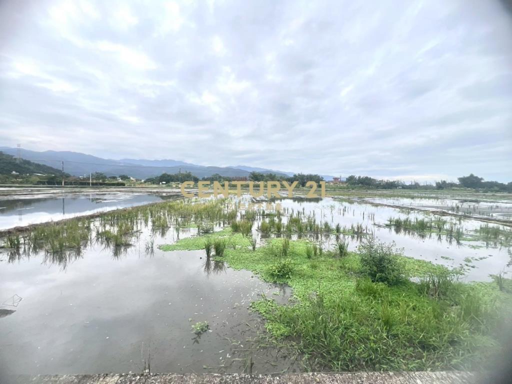 LC164員山八甲附近大面寬足坪農地