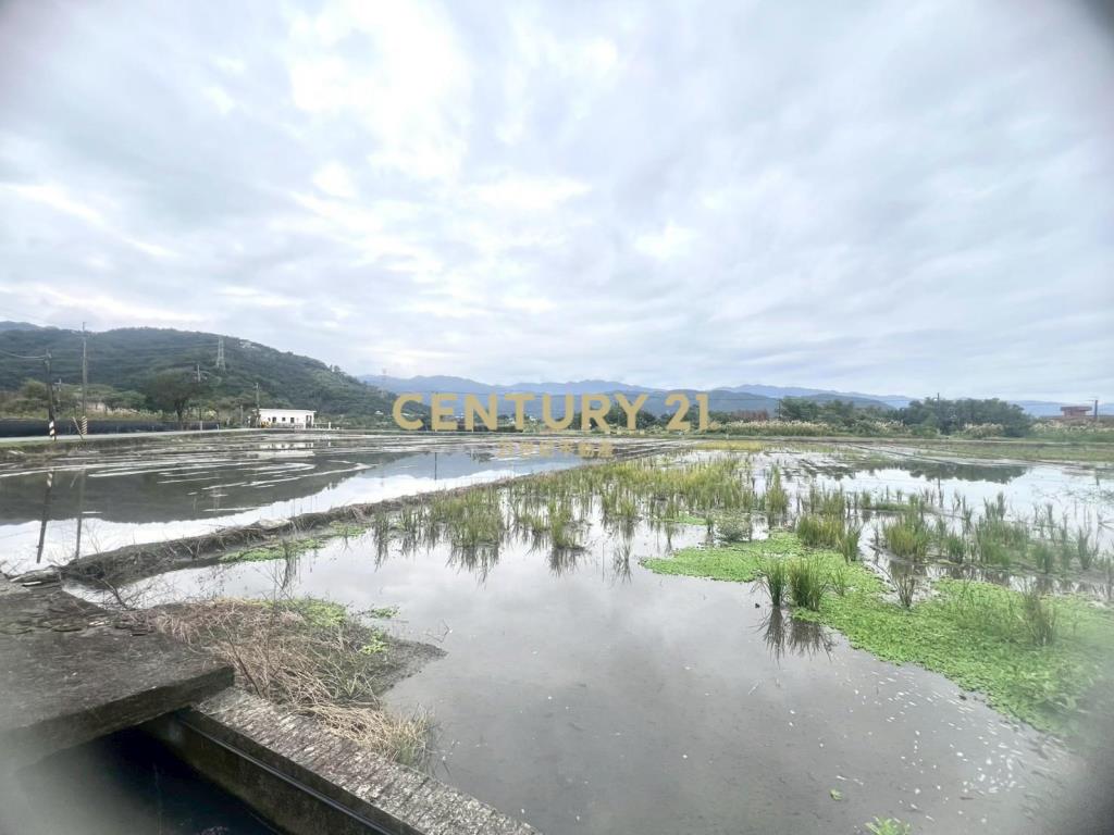 LC164員山八甲附近大面寬足坪農地