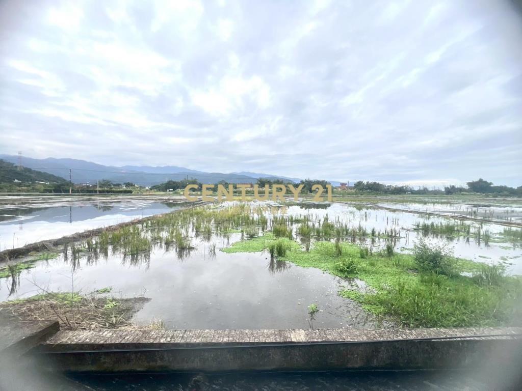 LC164員山八甲附近大面寬足坪農地