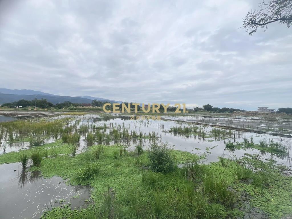 LC164員山八甲附近大面寬足坪農地