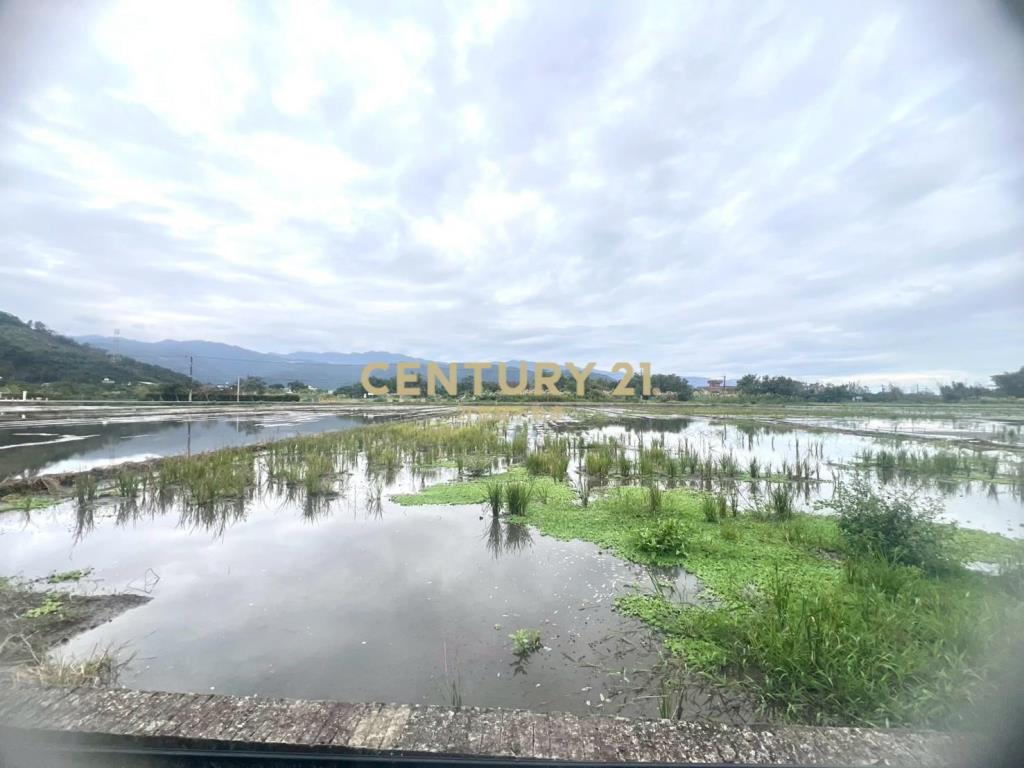 LC164員山八甲附近大面寬足坪農地