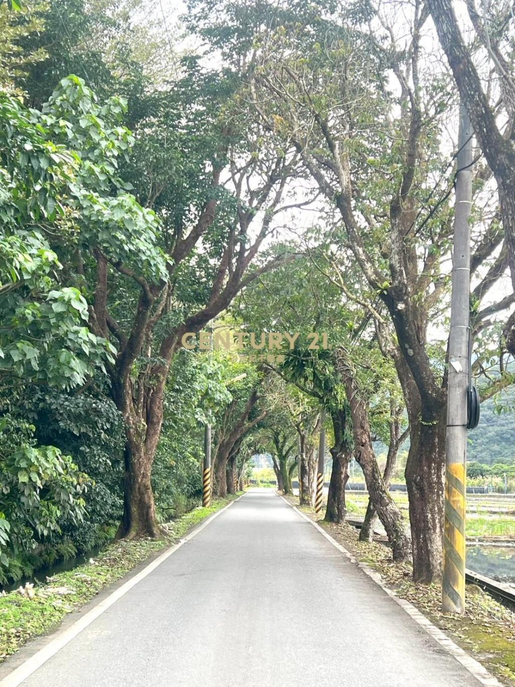 LC164員山八甲附近大面寬足坪農地