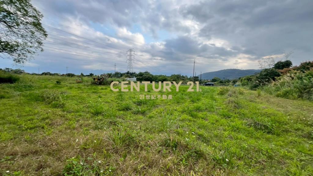 DC542礁溪刺仔崙方正便宜美農地