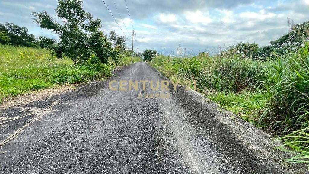 DC542礁溪刺仔崙方正便宜美農地