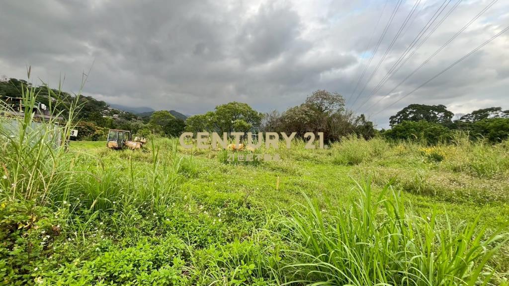 DC542礁溪刺仔崙方正便宜美農地