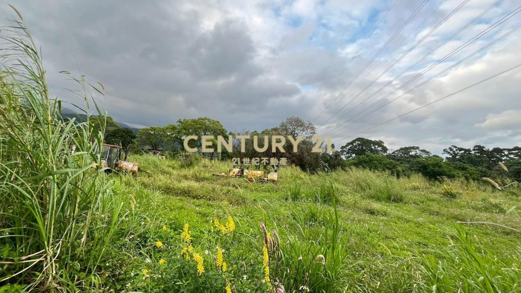 DC542礁溪刺仔崙方正便宜美農地