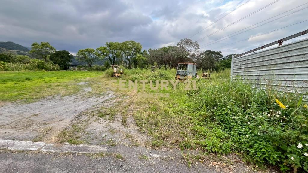 DC542礁溪刺仔崙方正便宜美農地