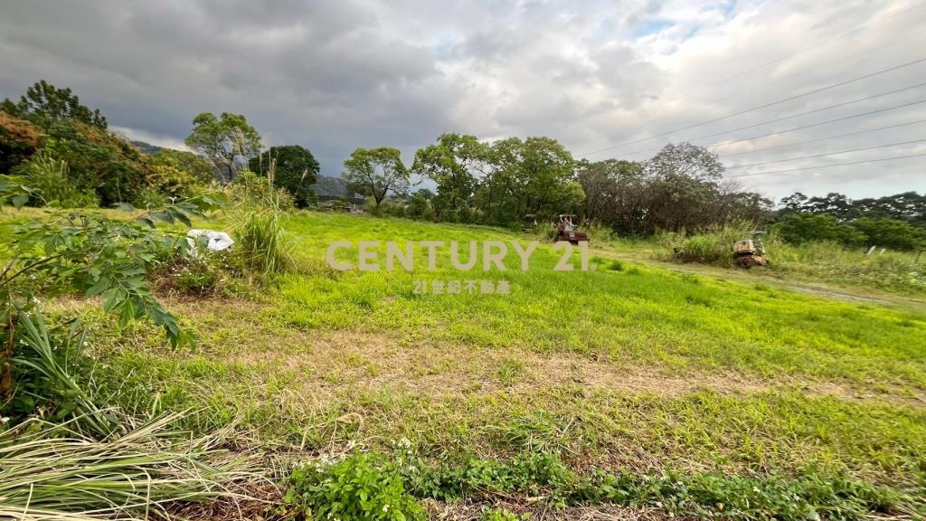 DC542礁溪刺仔崙方正便宜美農地