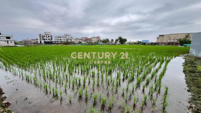 DC543清溝夜市足坪低總價農地