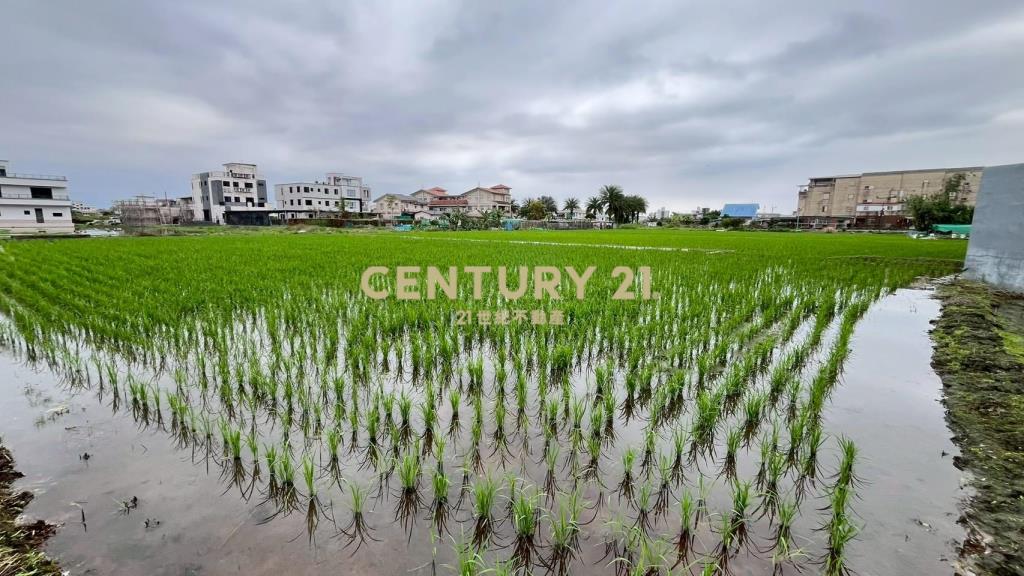 DC543清溝夜市足坪低總價農地