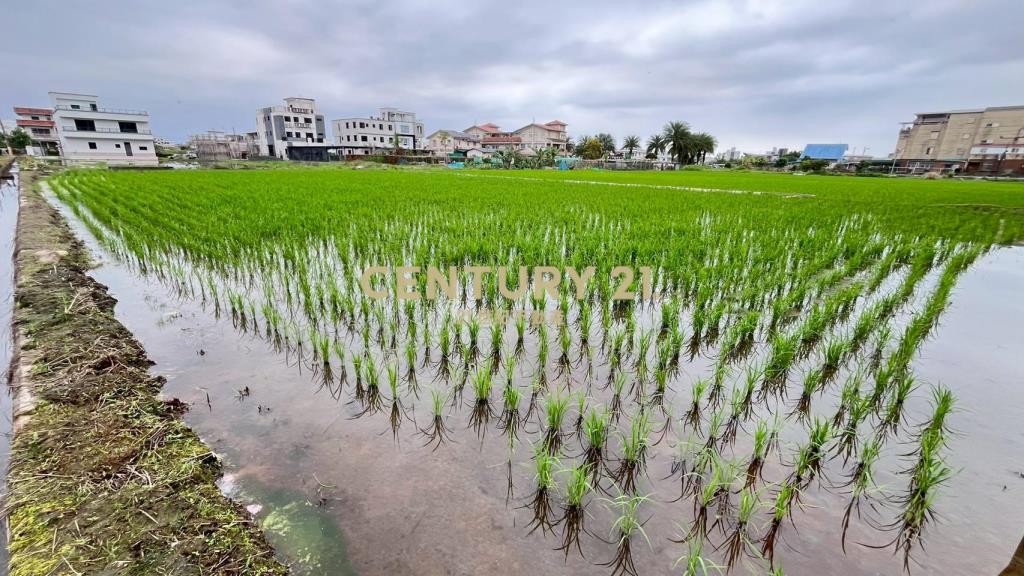 DC543清溝夜市足坪低總價農地