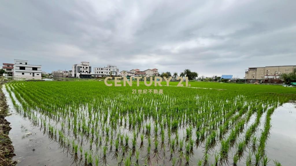 DC543清溝夜市足坪低總價農地