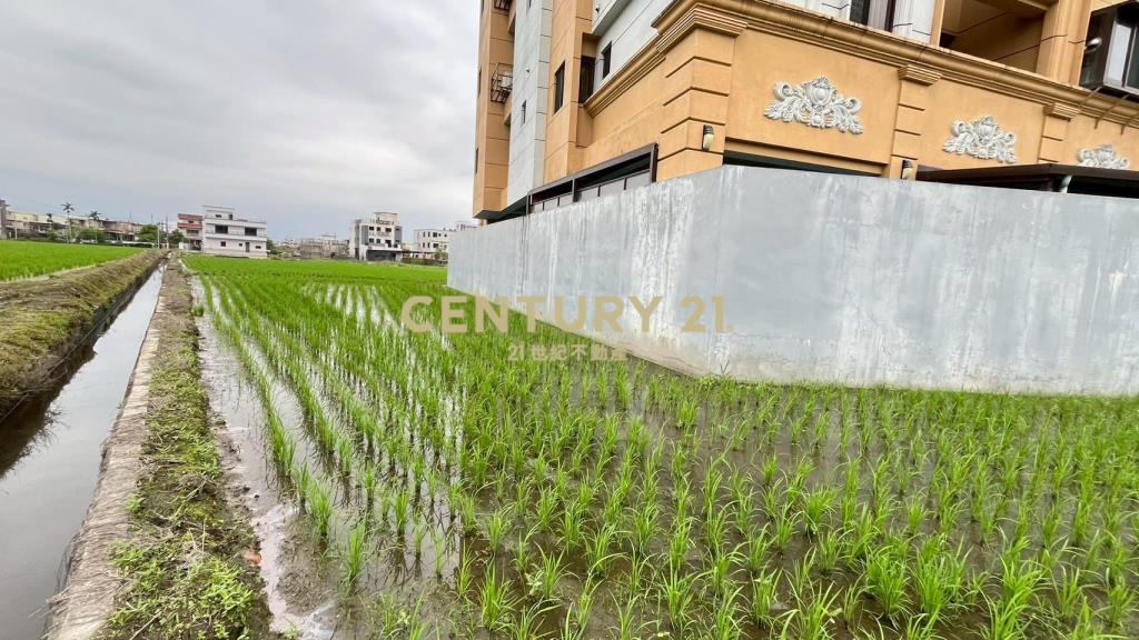 DC543清溝夜市足坪低總價農地