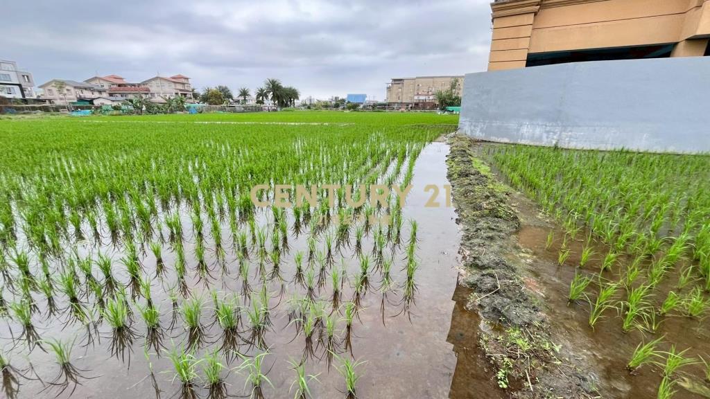 DC543清溝夜市足坪低總價農地