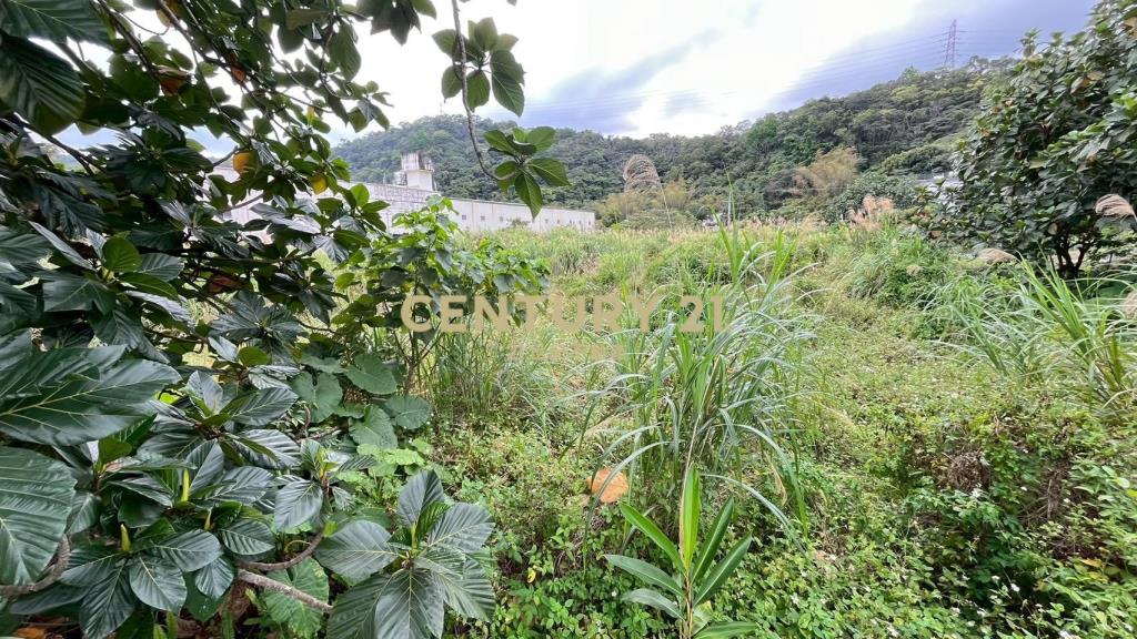 DC544礁溪大林尾段小農地