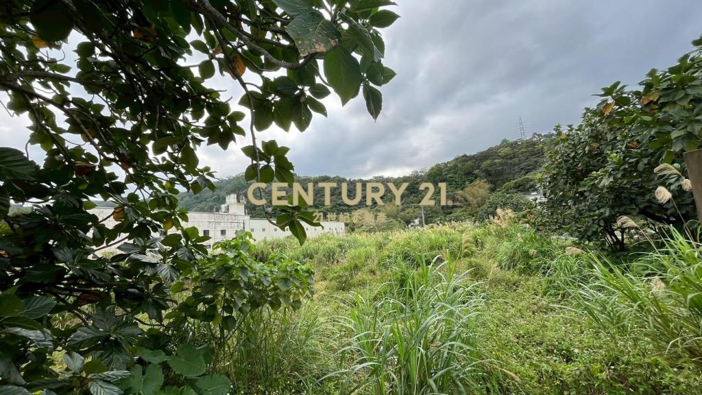 DC544礁溪大林尾段小農地