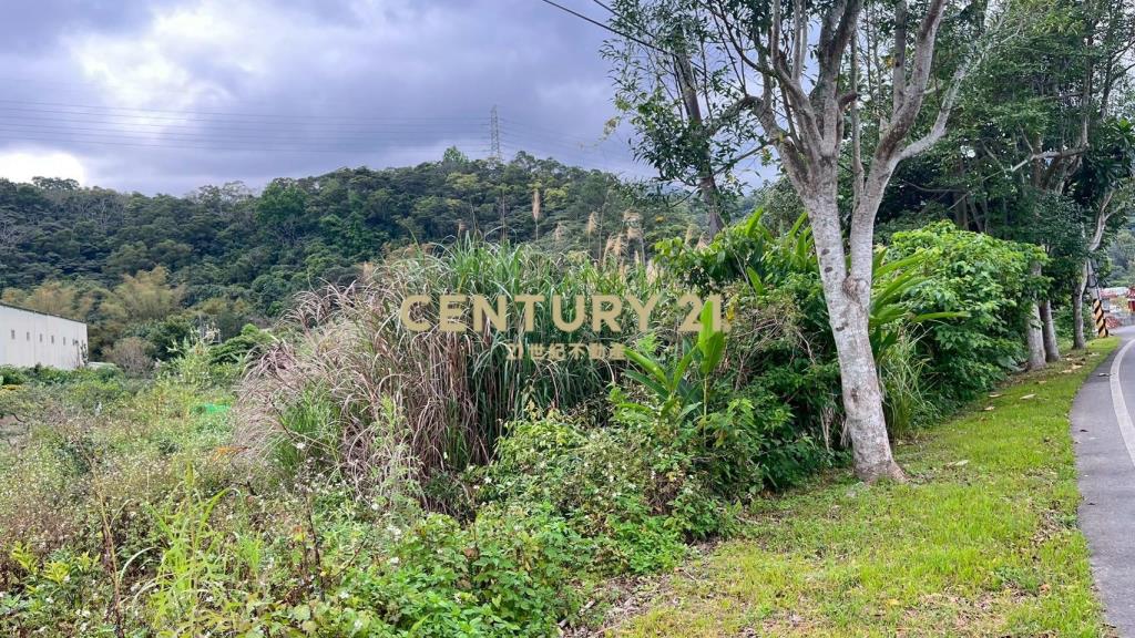 DC544礁溪大林尾段小農地