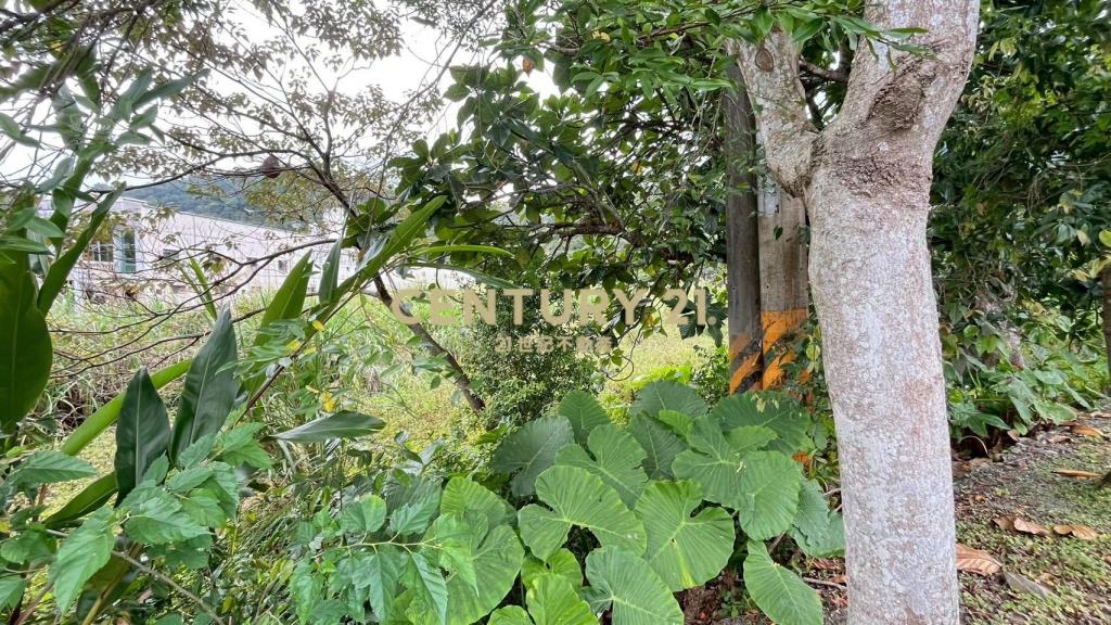 DC544礁溪大林尾段小農地